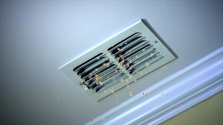Best Home Air Vent Cleaning  in Herculaneum, MO